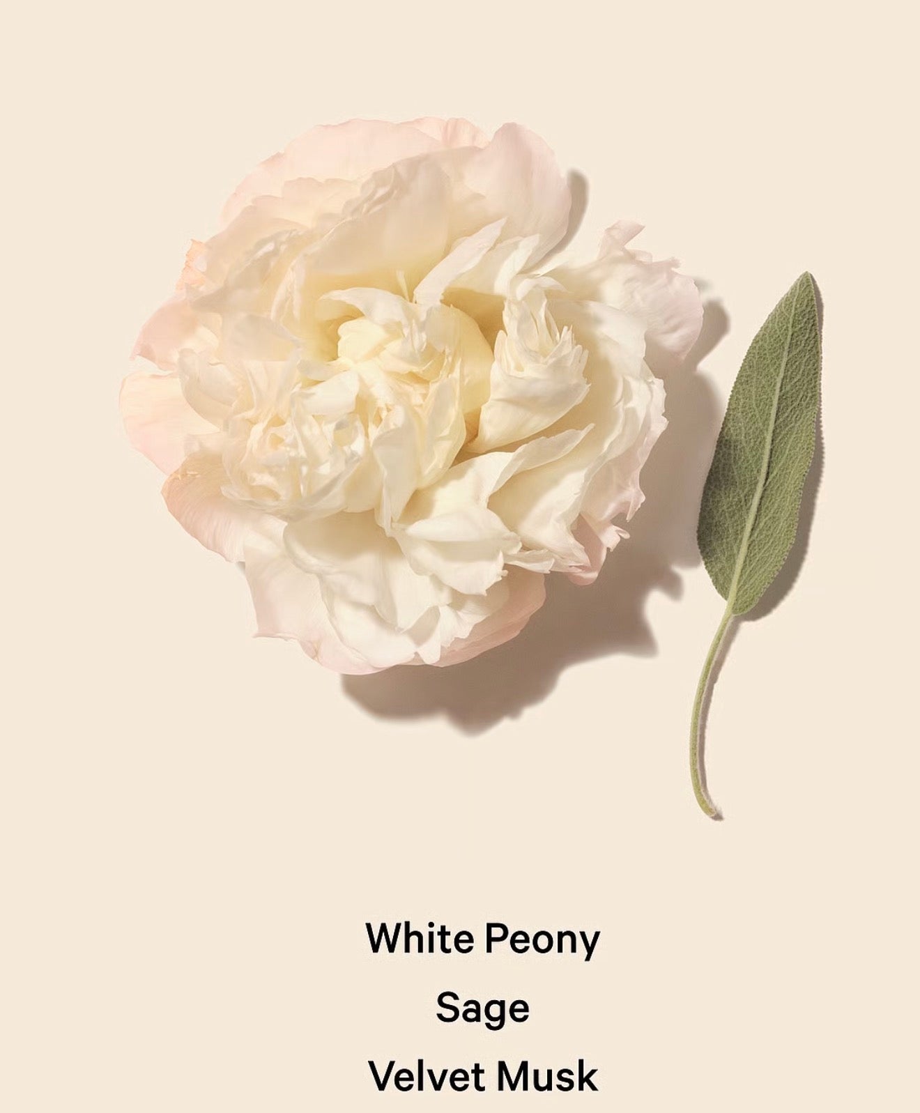 Victoria's Secret Bombshell Seduction Fine Fragrance Mist